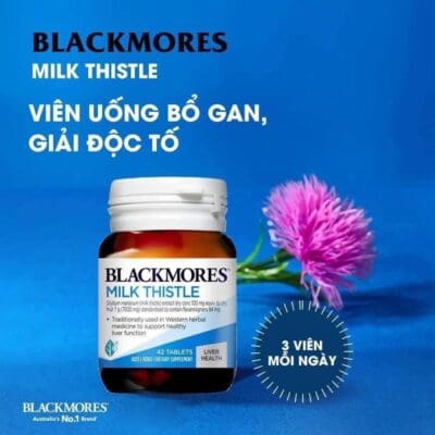 Blackmores Milk Thistle 42 vien