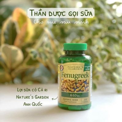 Cỏ cà ri lợi sữa Fenugreek 610mg Natures Garden 60 viên của Anh Quốc