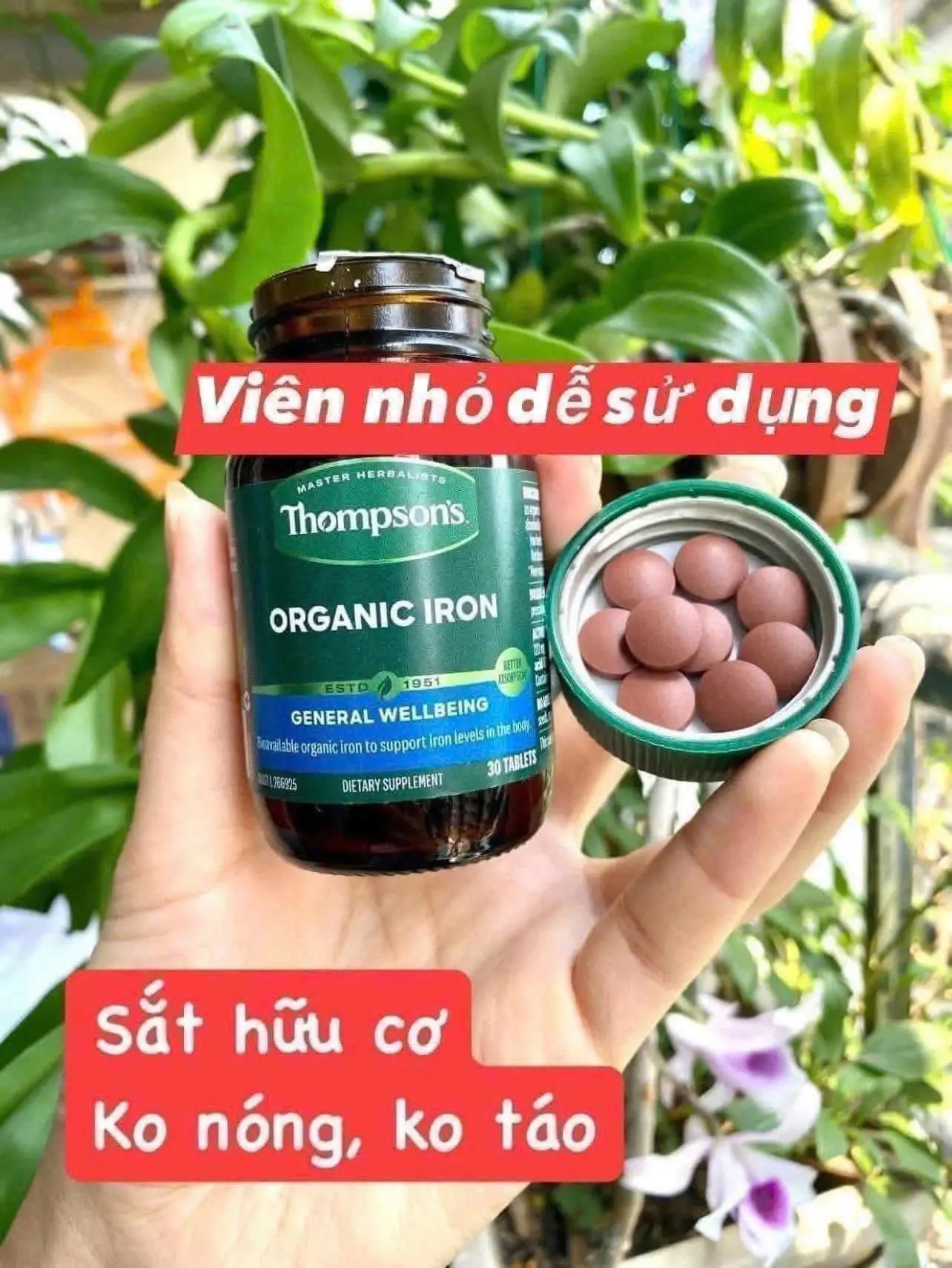 Viên sắt hữu cơ Thompson's Organic Iron 30 viên của Úc Viên Bổ Sung Sắt Hữu Cơ Thompson's Organic Iron 30 viên Của Úc