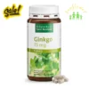 Bổ não Sanct Bernhard Ginkgo Kapseln 75mg 240 viên của Đức