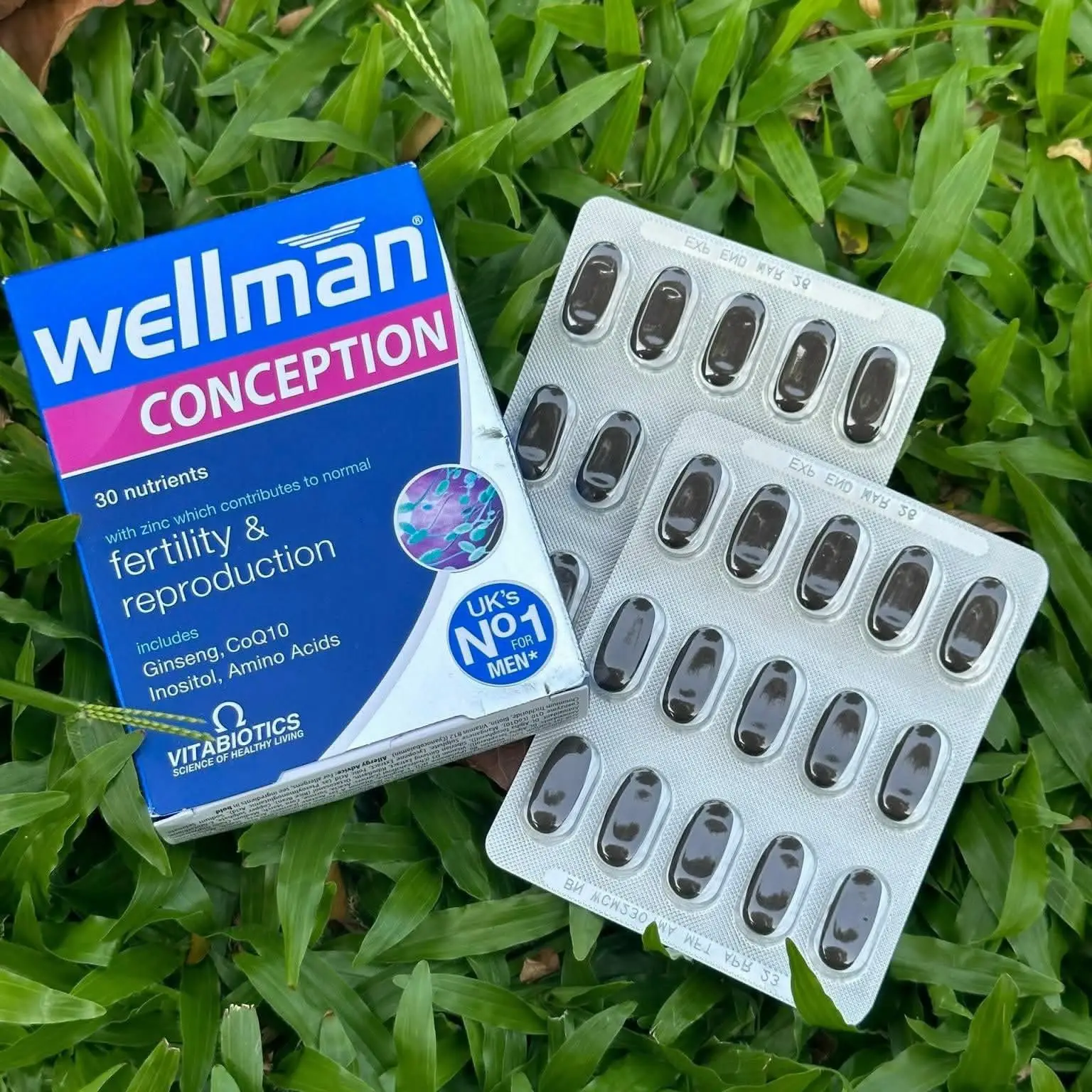 Viên uống Vitabiotics Wellman Conception 30 viên của Úc Hỗ trợ sinh sản cho nam giới Wellman Conception 30 viên
