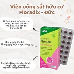 Viên sắt hữu cơ Salus Floradix Eisen Folsäure 84 viên của Đức
