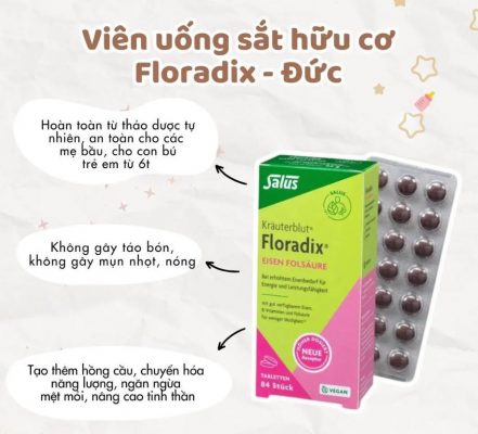 Viên sắt hữu cơ Salus Floradix Eisen Folsäure 84 viên của Đức