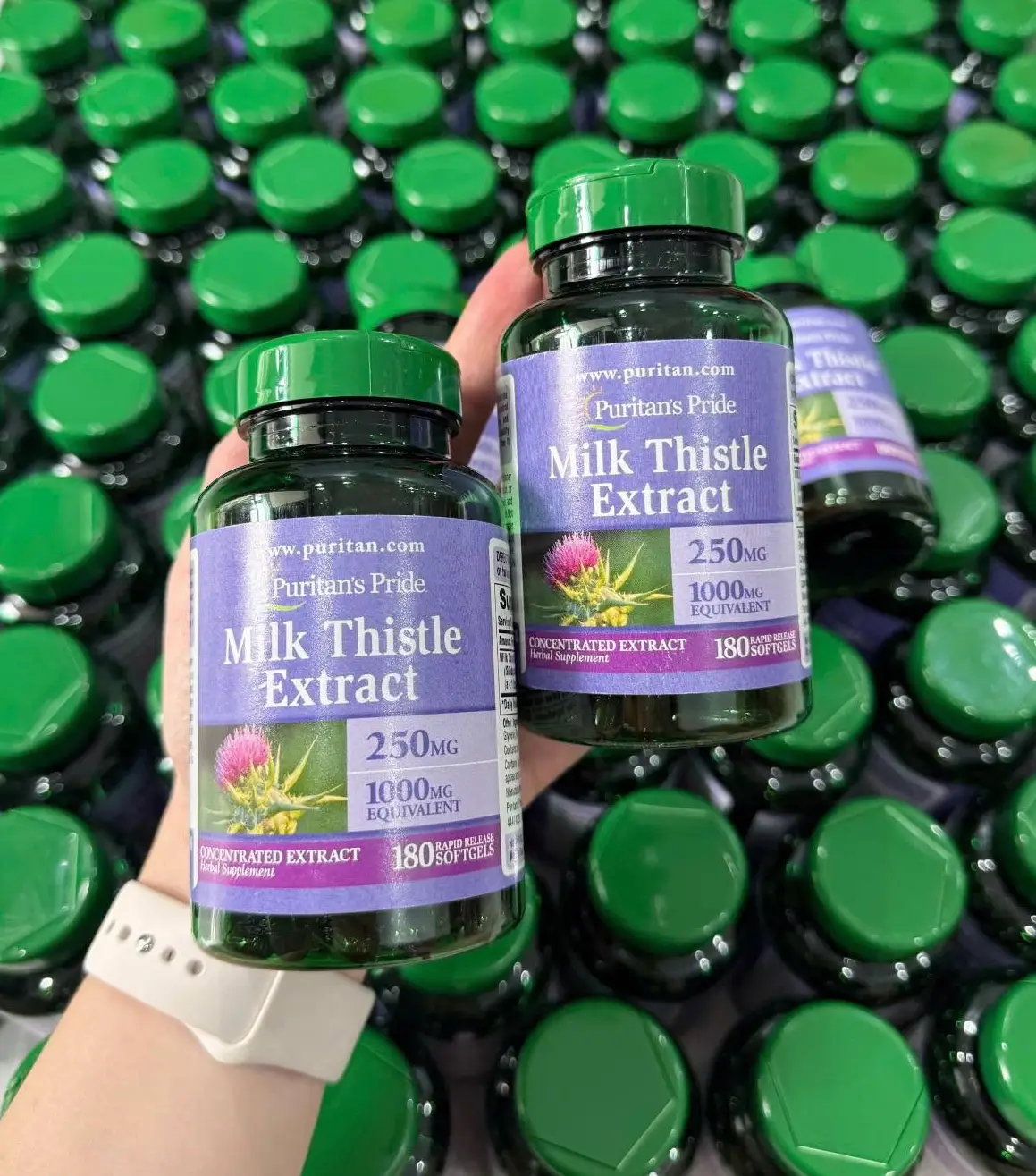 Viên uống bổ gan Puritan’s Pride Milk Thistle Extract 1000mg 180 viên của Mỹ Viên uống bổ gan Puritan’s Pride Milk Thistle Extract 1000mg