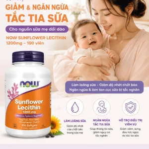Viên uống chống tắc tia sữa Sunflower Lecithin 1200mg Now 100 viên của Mỹ