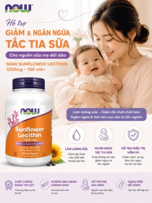 Viên uống chống tắc tia sữa Sunflower Lecithin 1200mg Now 100 viên của Mỹ