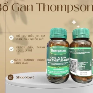 Bổ gan thompson's one-a-day milk thistle 42000 mg 60 capsules