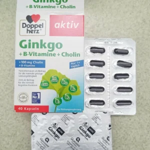 Thuốc bổ não DoppelHerz Aktiv Ginkgo + B-Vitamine+Choline 40 viên của Đức Thuốc Bổ Não Doppelherz Aktiv Ginkgo, 40 Viên