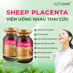 Nhau thai cừu Spring Leaf 60000mg Sheep Placenta 120 viên của Úc Nhau thai cuu Sheep Placenta SpringLeaf 60000mg 120 vien