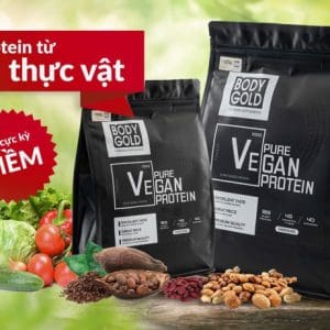 Sữa thực vật Pure Vegan Protein Body Gold túi 1 kg