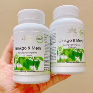 Viên uống Ginkgo Merh Warnke 120 viên