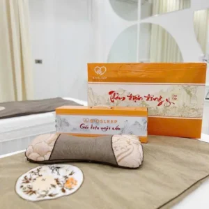 Thảm điện đông y cao cấp BioSleep Thảm ngãi cứu đông y Bio Sleep