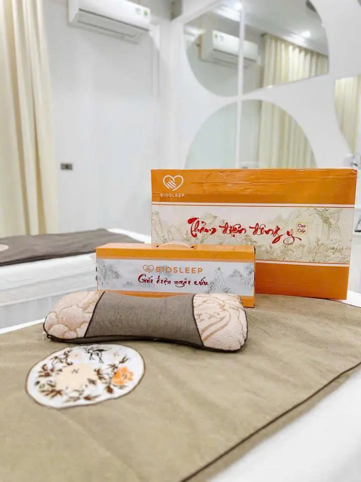 Thảm điện đông y cao cấp BioSleep Thảm ngãi cứu đông y Bio Sleep