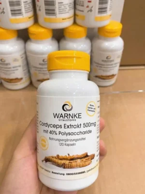 Viên uống đông trùng hạ thảo Warnke 500mg của Đức