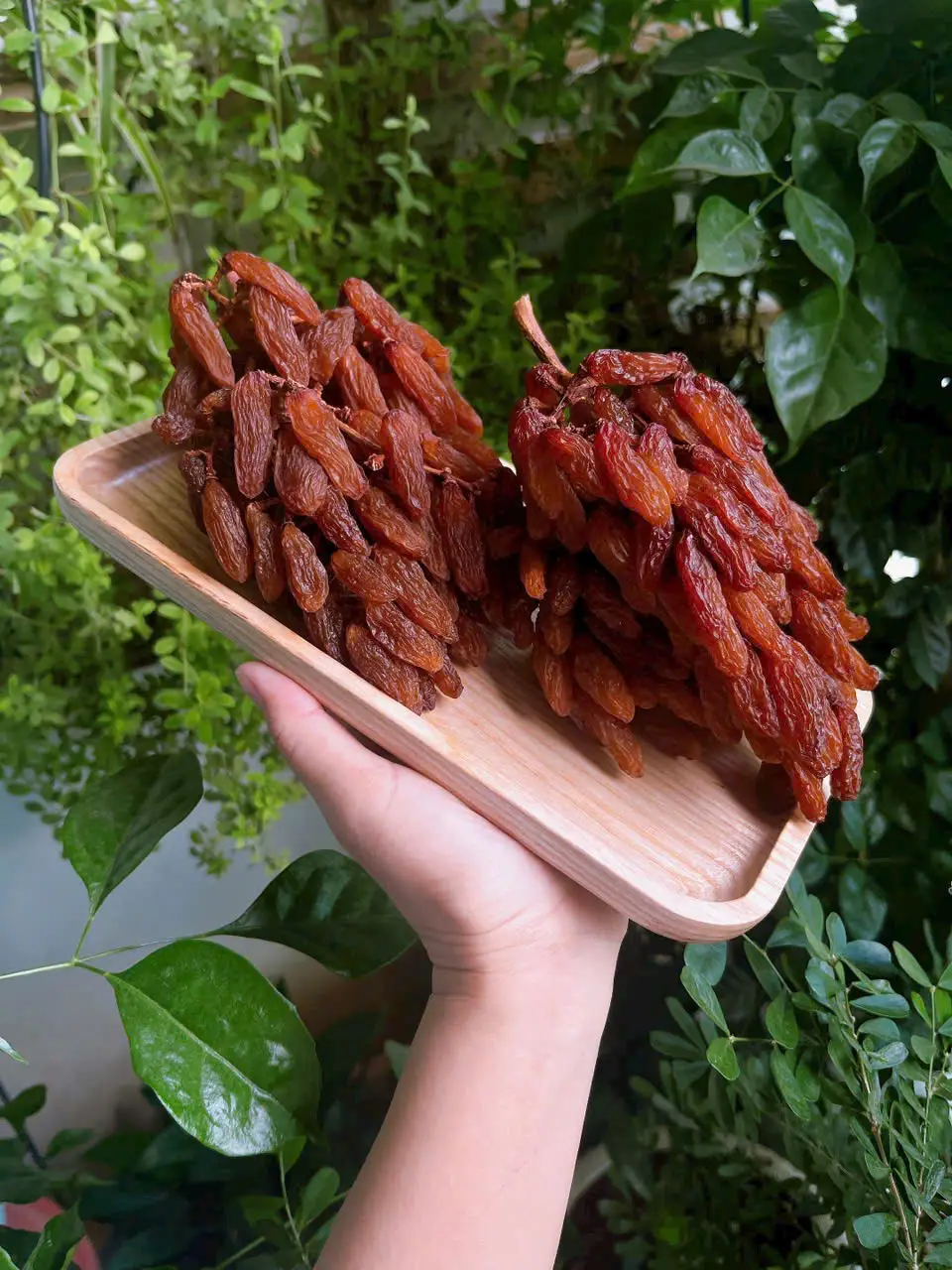 Nho Thompson Premium Australian Sun Dried Grapes 500g Nho nguyên cành Thompson ngon Úc 500g