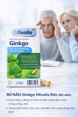 Viên uống bổ não Mivolis Ginkgo 40 viên