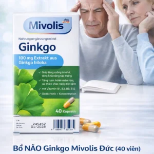 Viên uống bổ não Mivolis Ginkgo 40 viên