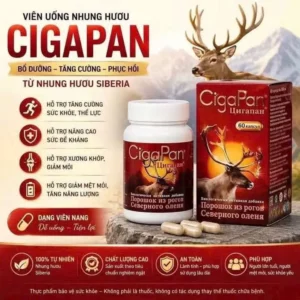 Viên uống nhung hươu CigaPan của Nga lọ 60 viên