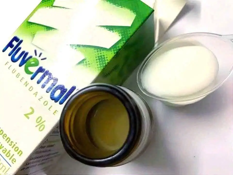 Siro tẩy giun Fluvermal 2% Flubendazole 30ml của Pháp Thuốc Tẩy Giun Fluvermal Pháp 30ml