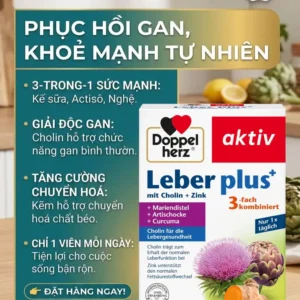 Viên uống bổ gan Doppelherz Leber Plus+ 30 viên của Đức Viên uống bổ gan Doppelherz Aktiv Leber Plus+ Cholin + Zink 30 viên